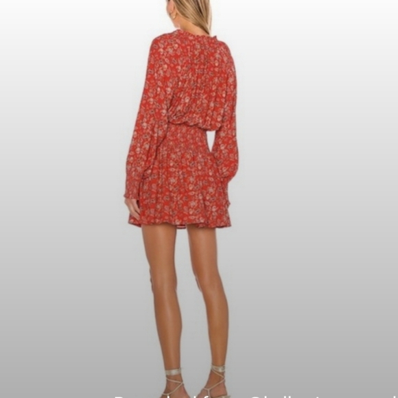 Cleobella Ella Long Sleeve Printed Mini Dress Size Medium - Picture 3 of 17